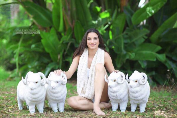 Merino CoCo - Image 2