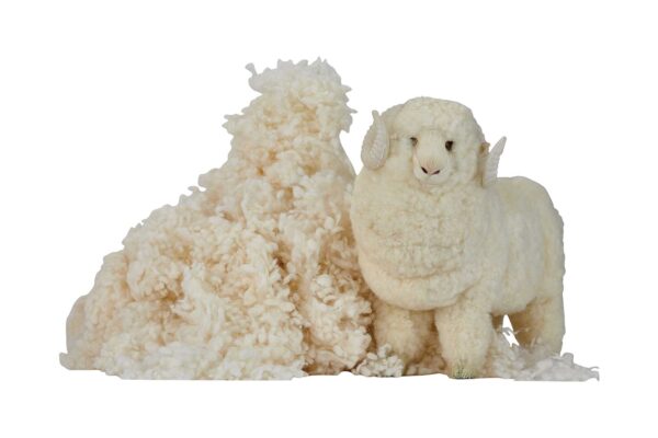 myWoolly® Side Pillow - Image 6